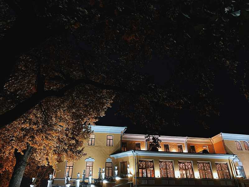 ​«Ночь искусств» в Ярославской области частично пройдет в онлайн-формате